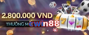 cwin88